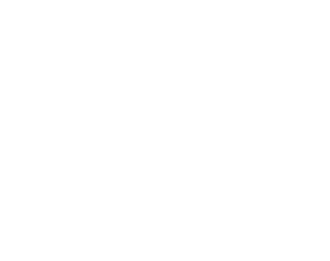 Scanrate 240x190
