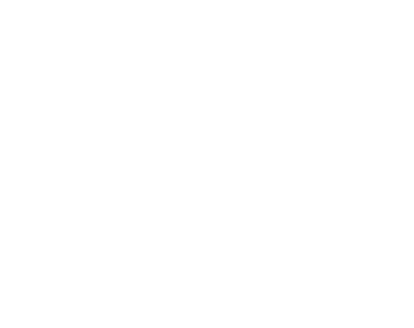 Pe nielsen